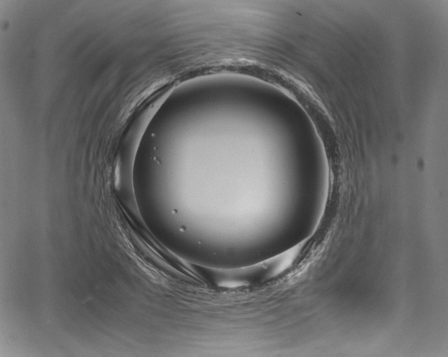 X0000067950881200604131433