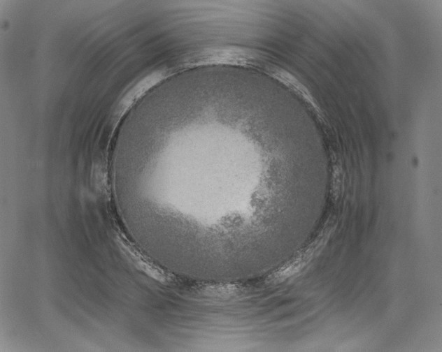 X0000067950882200604131433