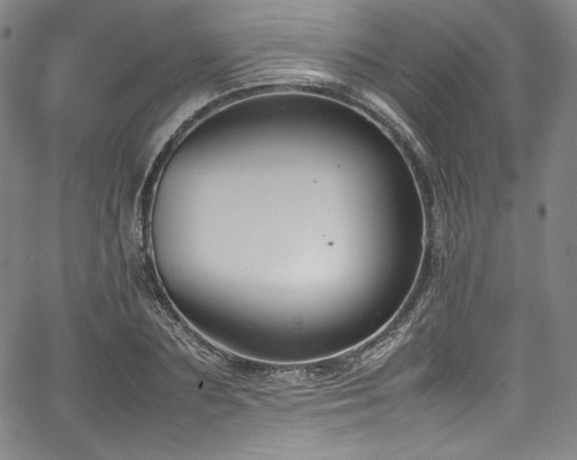 X0000067950883200604131433