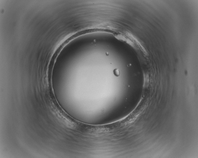 X0000067950884200604131433