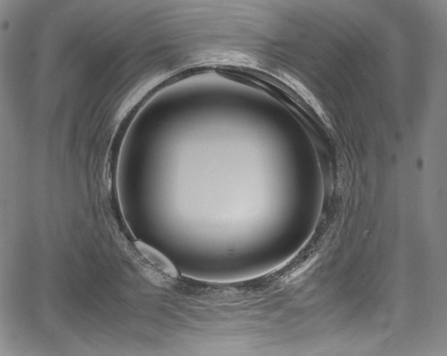 X0000067950885200604131433