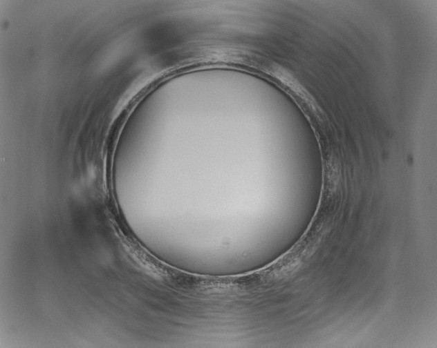 X0000067950886200604131433