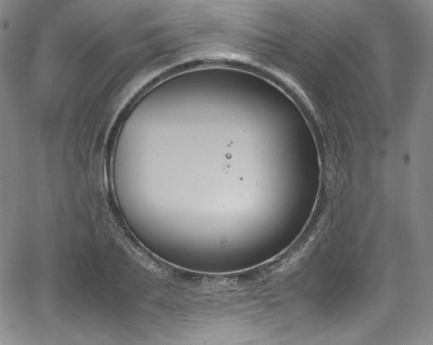 X0000067950887200604131433