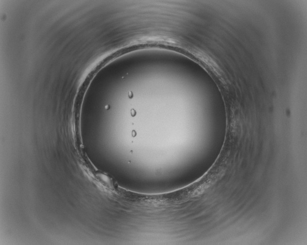 X0000067950888200604131433