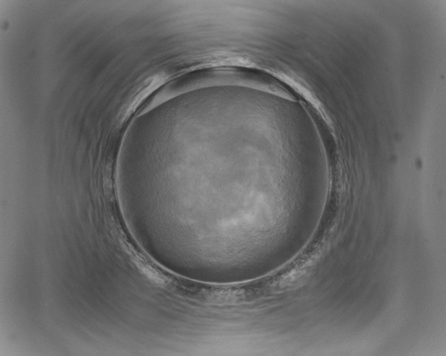 X0000067950889200604131433