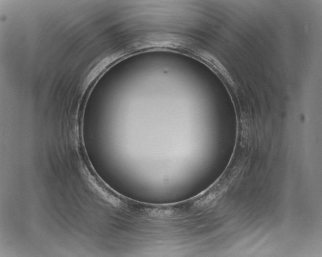 X0000067950890200604131433