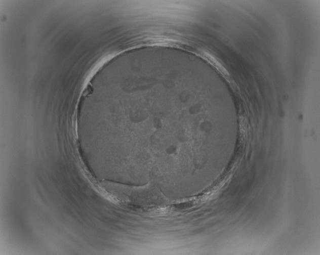 X0000067950891200604131432