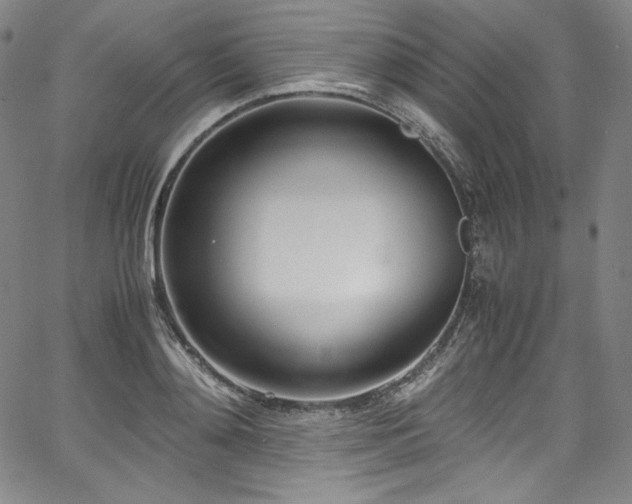 X0000067950892200604131432