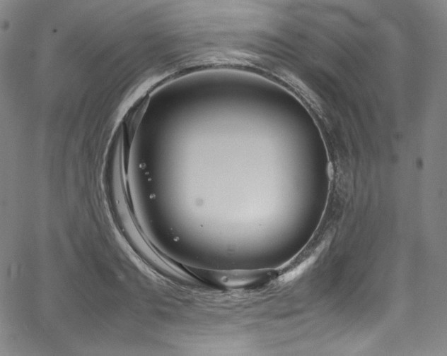 X0000067950893200604131432