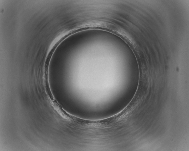 X0000067950894200604131432