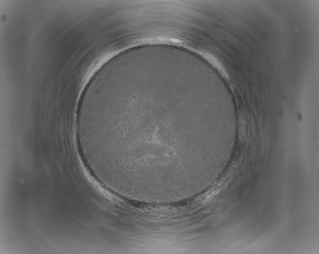 X0000067950895200604131432