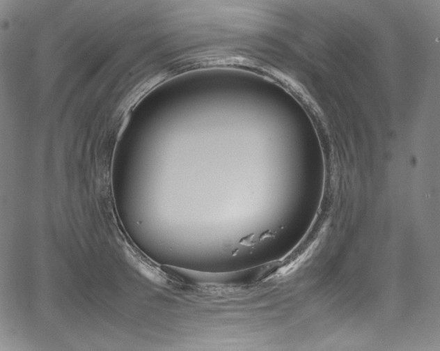 X0000067950897200604131432