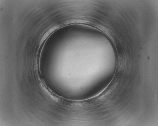 X0000067950898200604131432