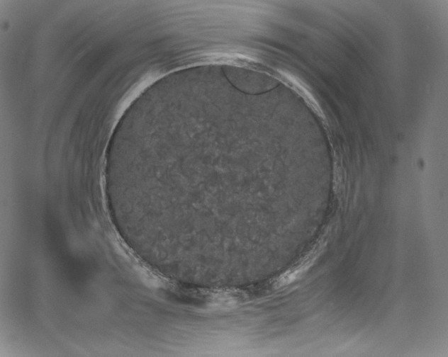 X0000067950899200604131432