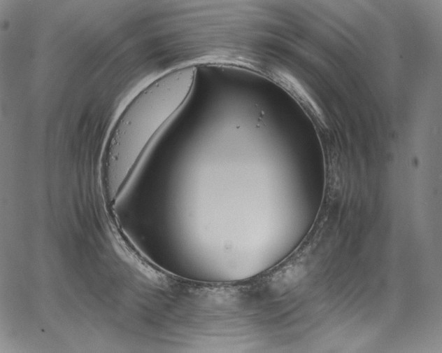 X0000067950900200604131432