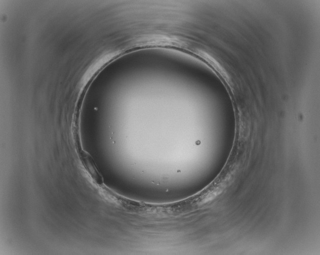 X0000067950901200604131432