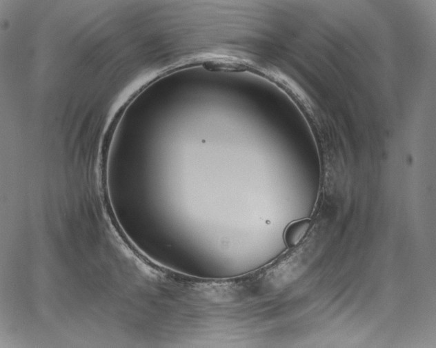 X0000067950902200604131432