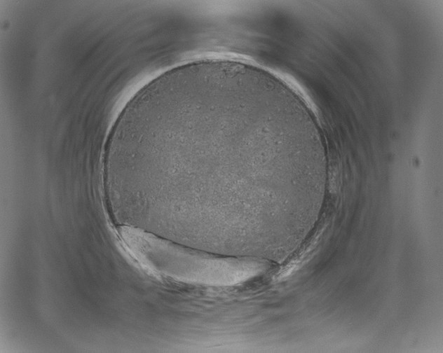 X0000067950903200604131432