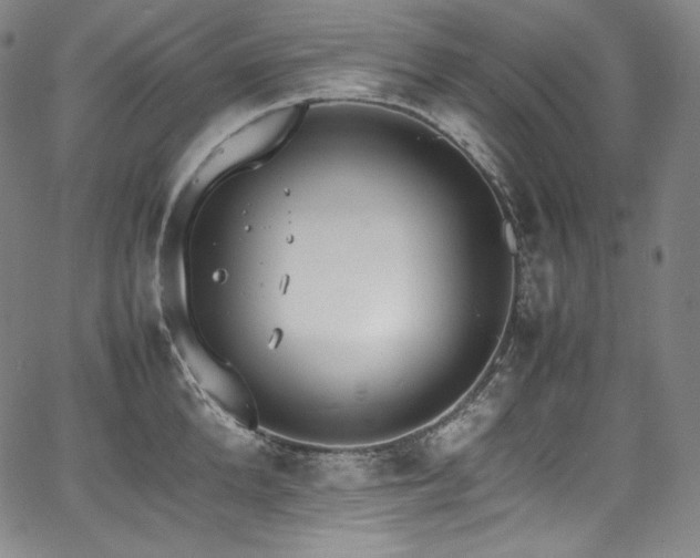 X0000067950904200604131432