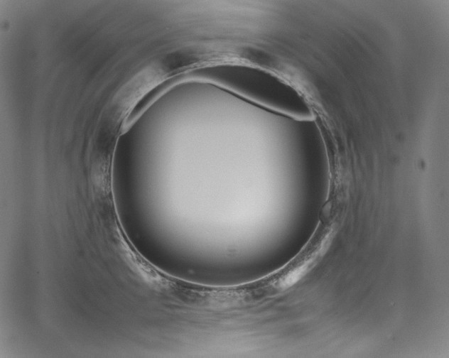 X0000067950905200604131432