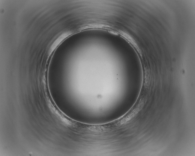 X0000067950906200604131432