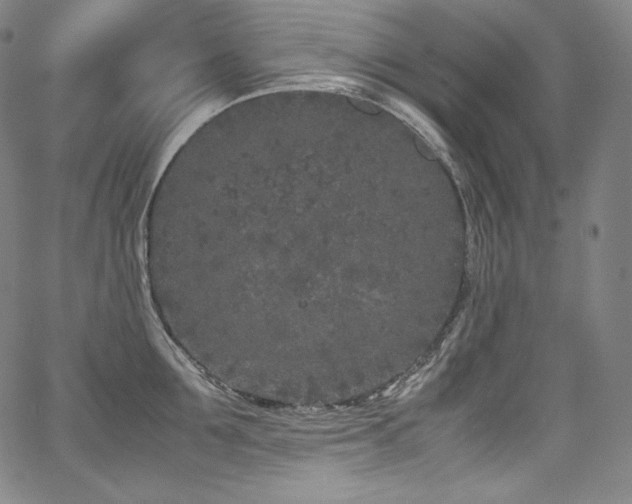 X0000067950907200604131432