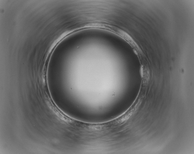 X0000067950908200604131432