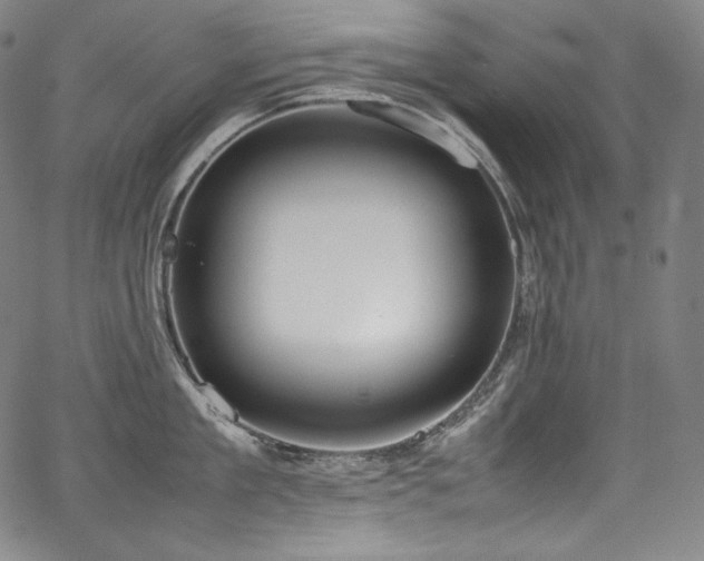 X0000067950909200604131432