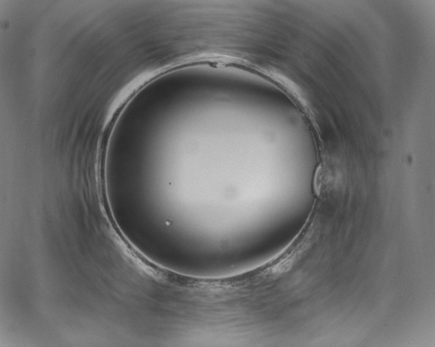 X0000067950910200604131432