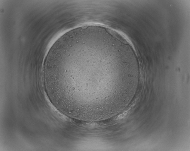 X0000067950911200604131432