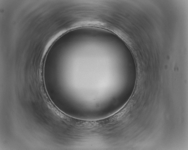 X0000067950912200604131432