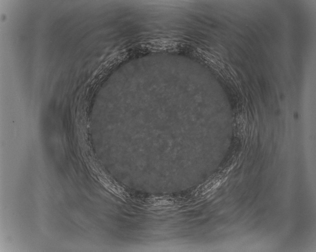 X0000067950913200604131431