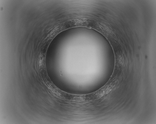 X0000067950914200604131431