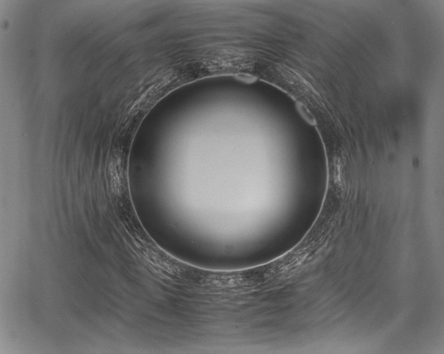 X0000067950915200604131431