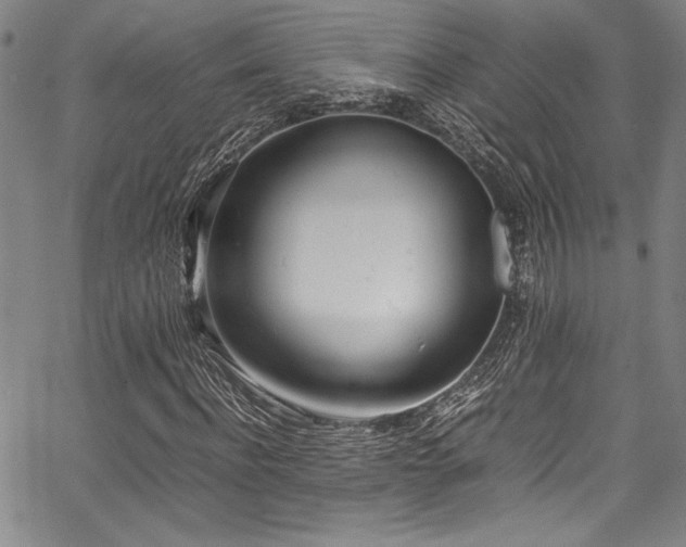 X0000067950916200604131431