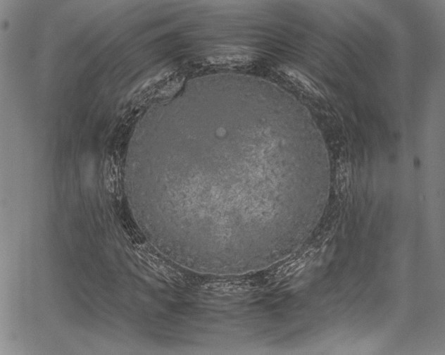 X0000067950917200604131431