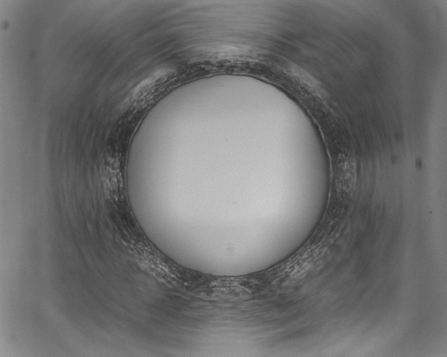 X0000067950918200604131431