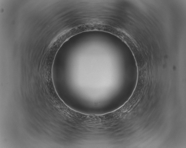 X0000067950919200604131431