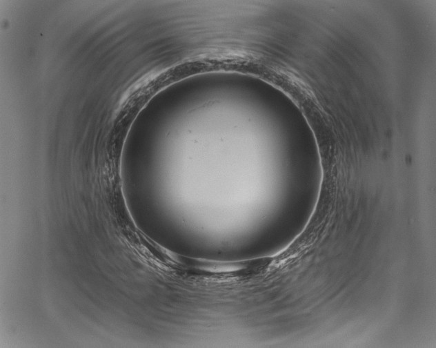 X0000067950920200604131431