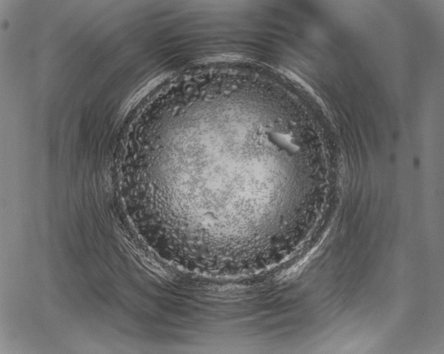 X0000067950921200604131431