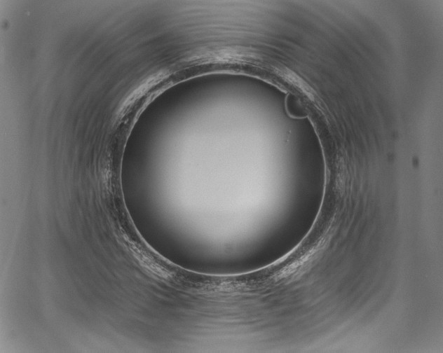 X0000067950922200604131432