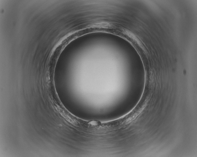 X0000067950923200604131432