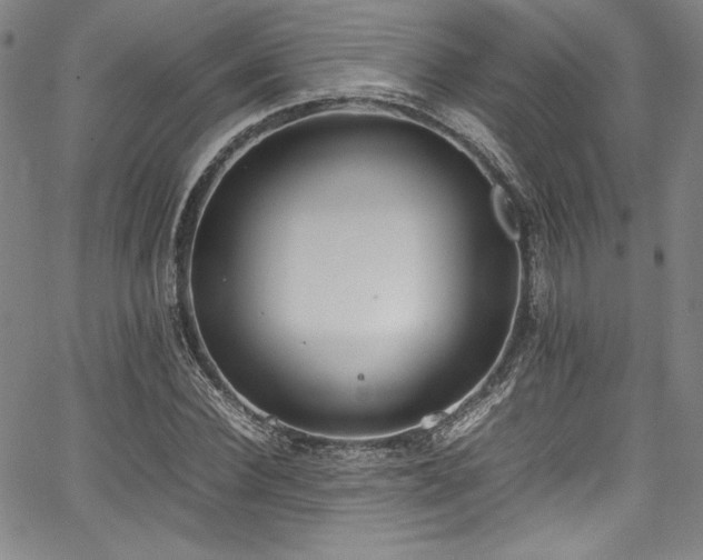 X0000067950924200604131432