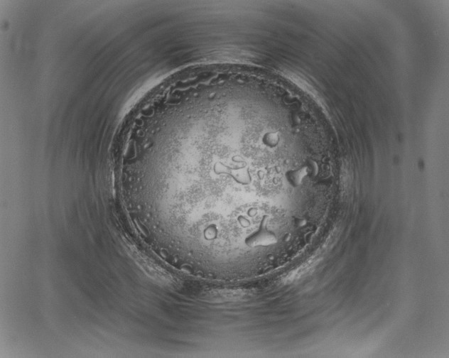 X0000067950925200604131432