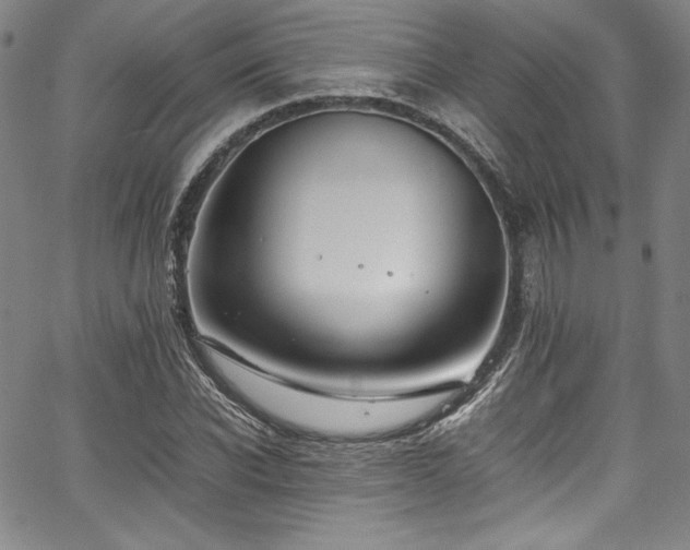 X0000067950926200604131432