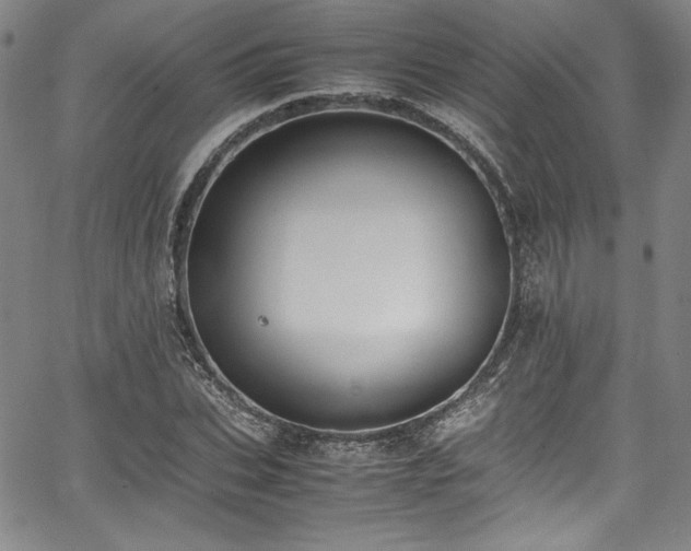 X0000067950927200604131432