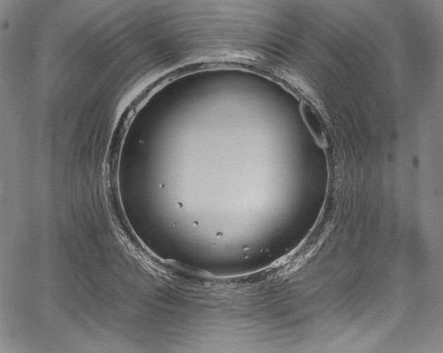 X0000067950928200604131432