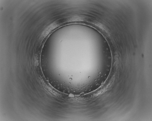 X0000067950929200604131432