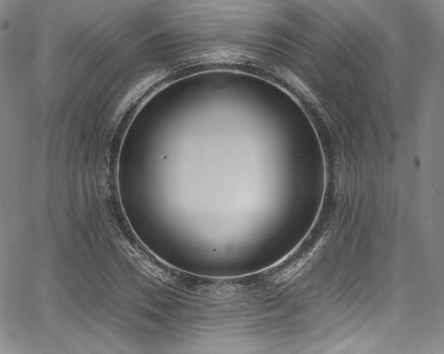 X0000067950930200604131432