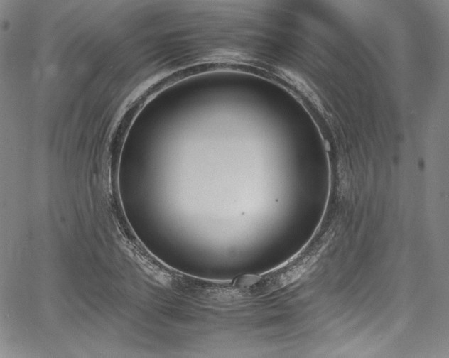 X0000067950931200604131432